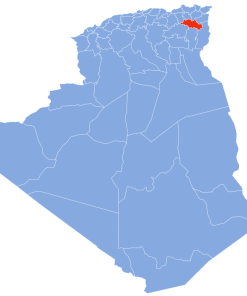 Coligo-Livraison-express-to-04-oum el bouaghi