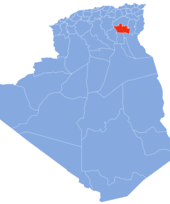 Coligo-Livraison-express-to-07 Biskra