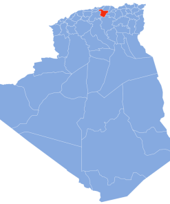 Coligo-Livraison-express-to-10 bouira