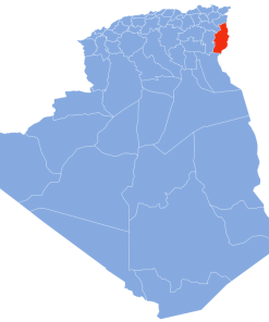 Coligo-Livraison-express-to-12 tebessa