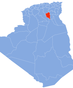 Coligo-Livraison-express-to 51 ouled djelal