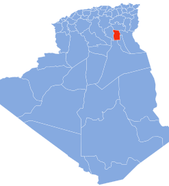 Coligo-Livraison-express-to 57 el MGhair